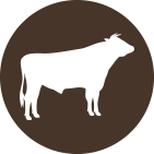 Beef