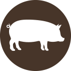 Pork
