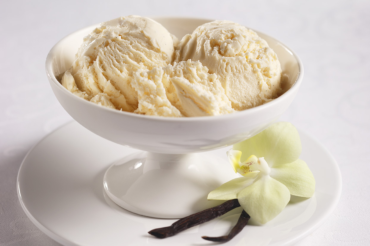 Bowl of Ice Cream Vanilla