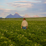 Seeds of Sustainability: Reduction