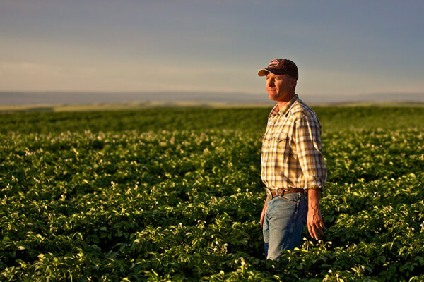 Seeds of Sustainability: Reuse