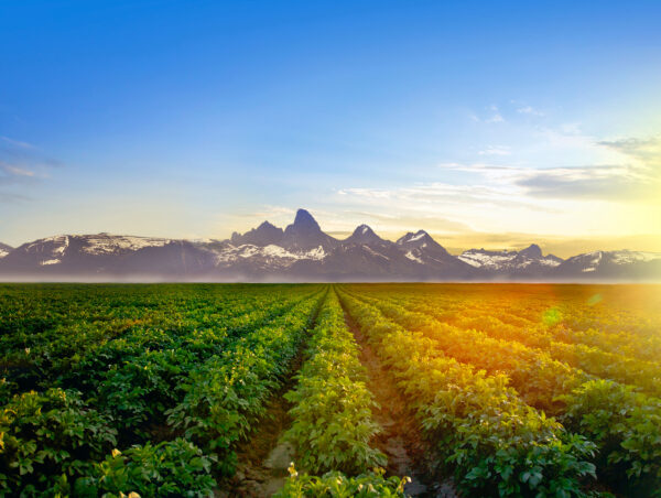 Seeds of Sustainability: Recycling